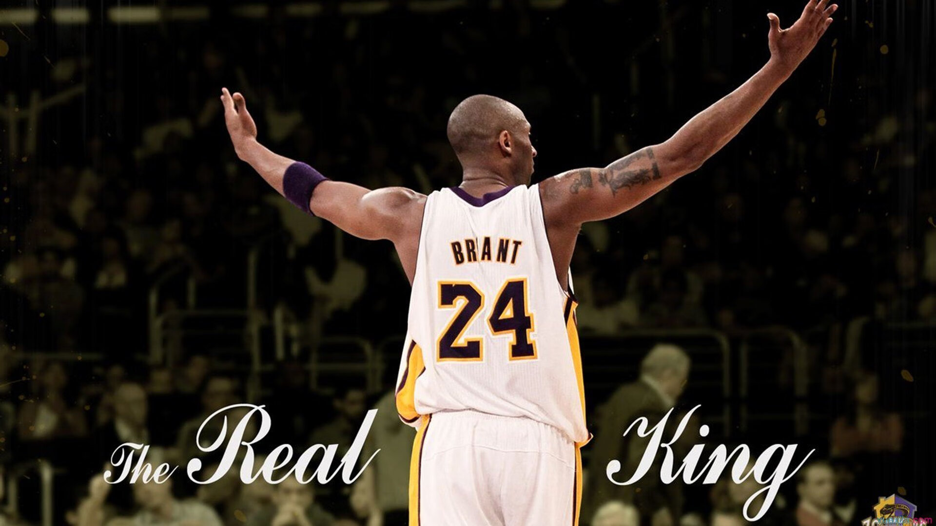 《年度最震撼决赛回顾：谁才是真正的王者？》