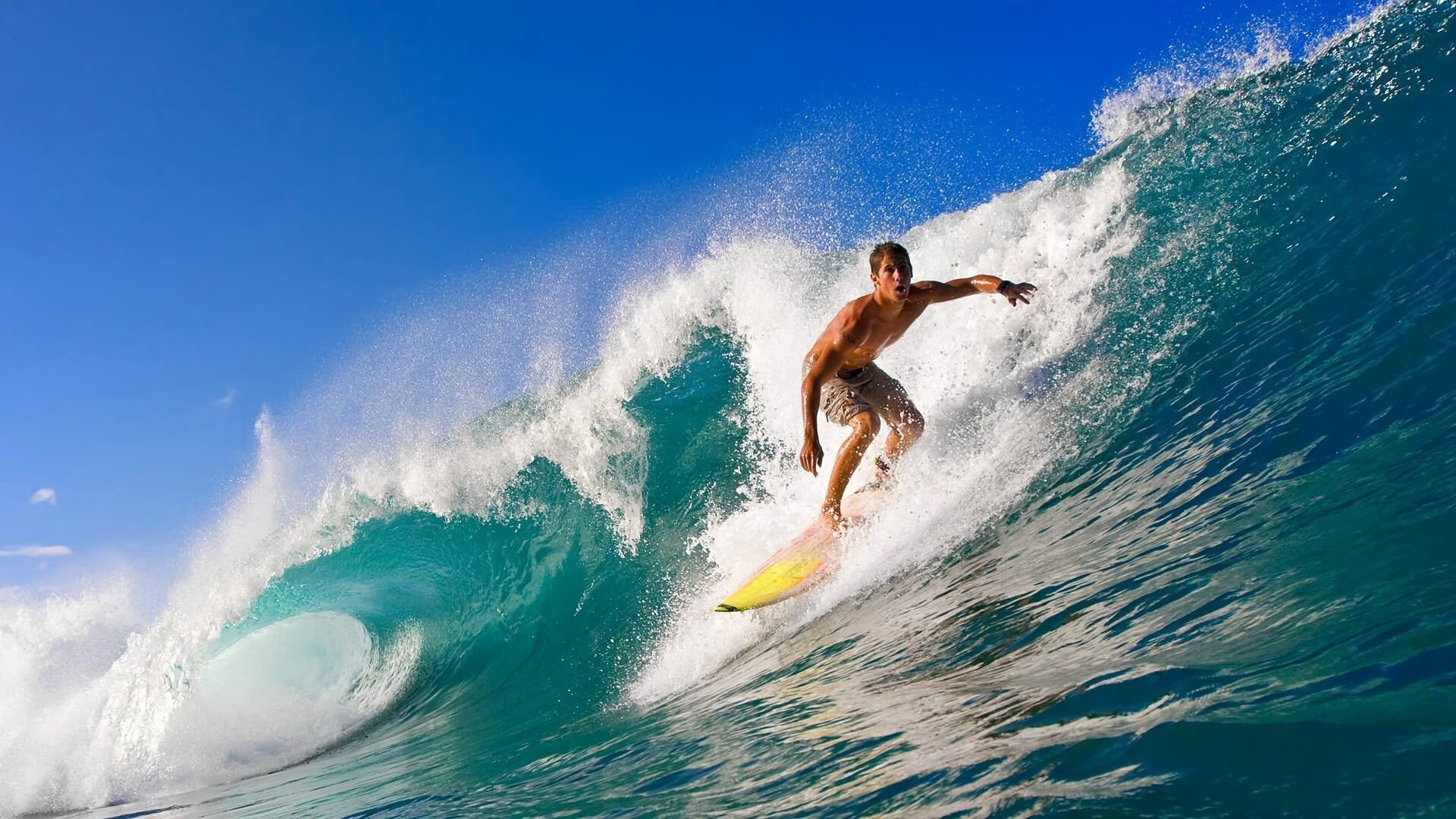 明星车手的成长之路：从练习到冠军，明星车辆